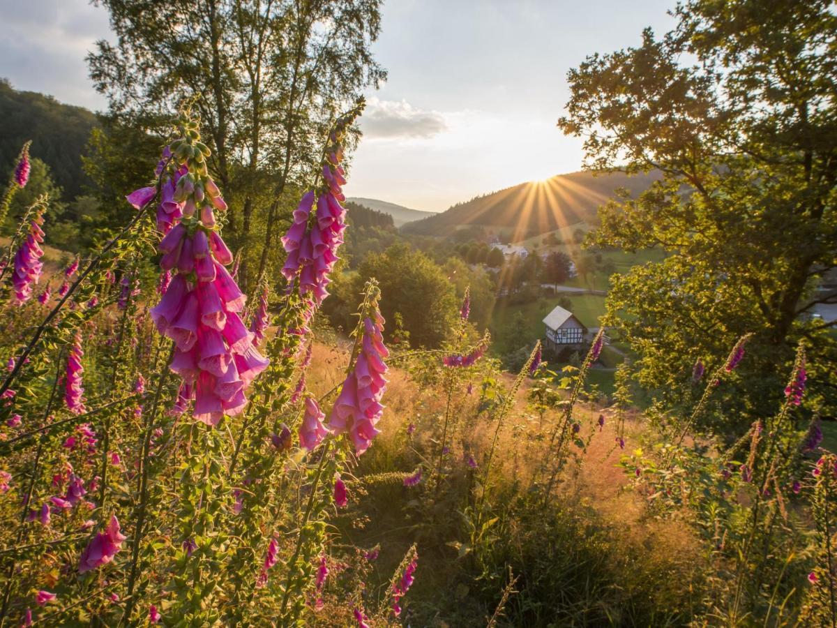 شقة Atempause Sauerland سشمالنبرغ المظهر الخارجي الصورة